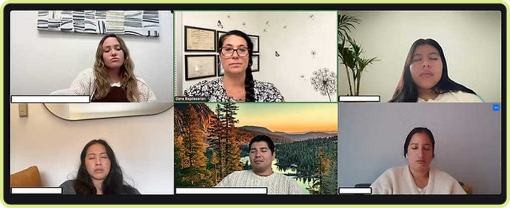 Dana Bagdasarian conducting a virtual corporate wellness session for a therapist practice via Zoom