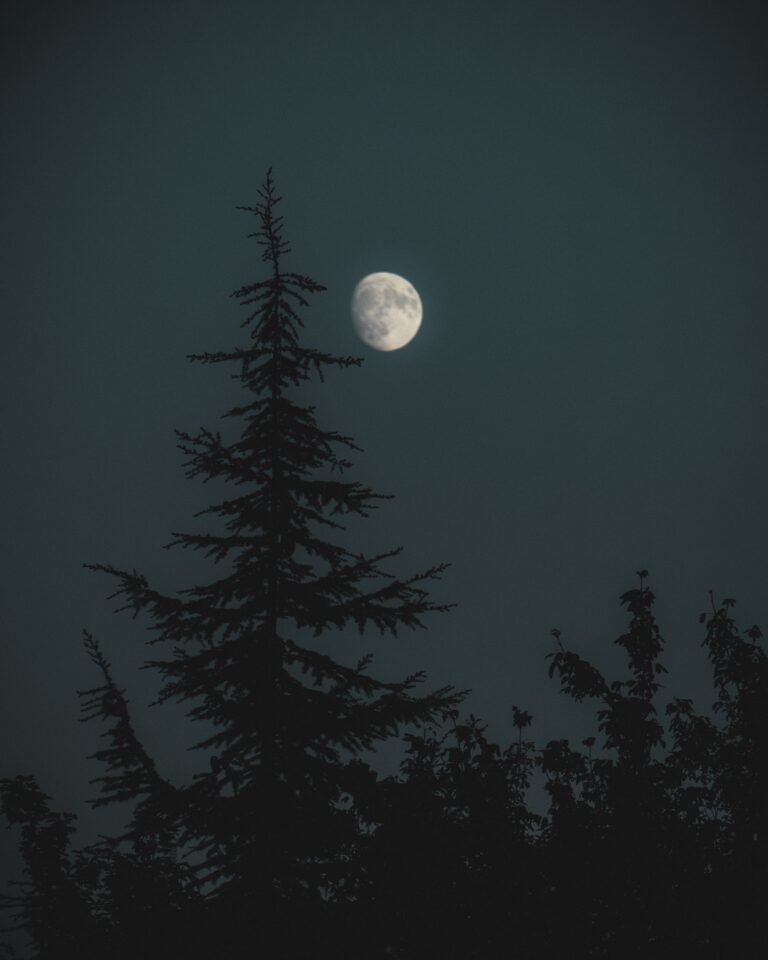 why can't I stop overthinking at night?