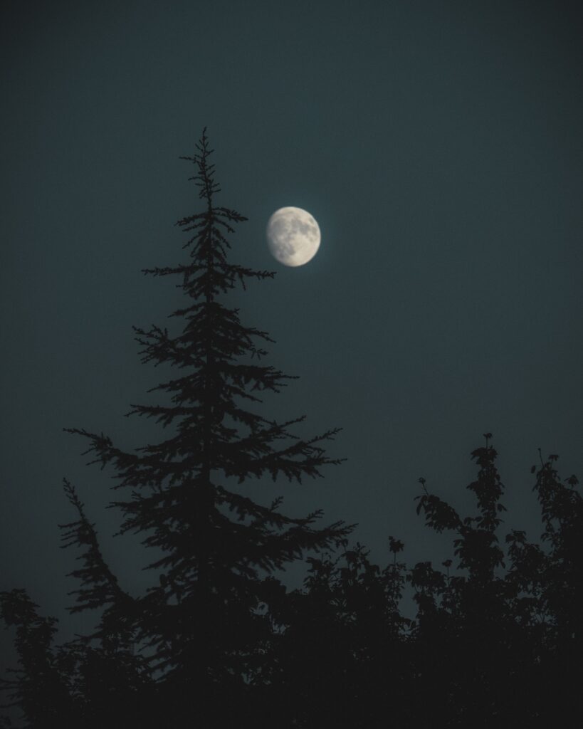 why can't I stop overthinking at night?